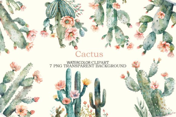 Download Cactus Flowers Watercolor Clipart Bundle - Watercolor clipart Collection