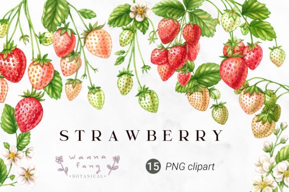 Download Strawberry Fruit Watercolor Clipart, PNG - Watercolor clipart Collection